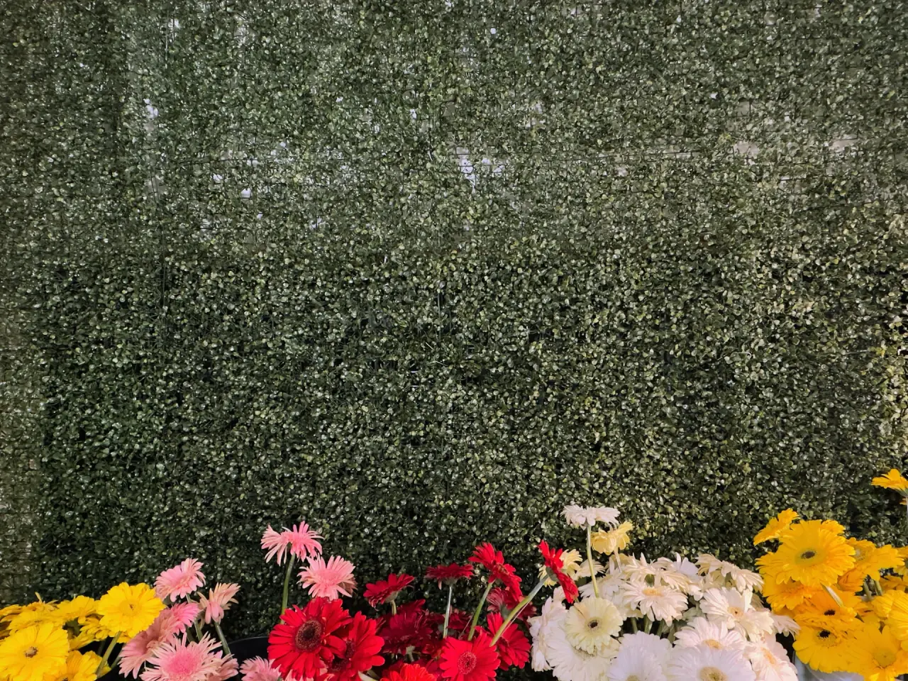 Florería Eterno Florecer en Buenos Aires Tamazunchale